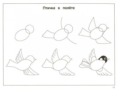 Изо поэтапное рисование птиц