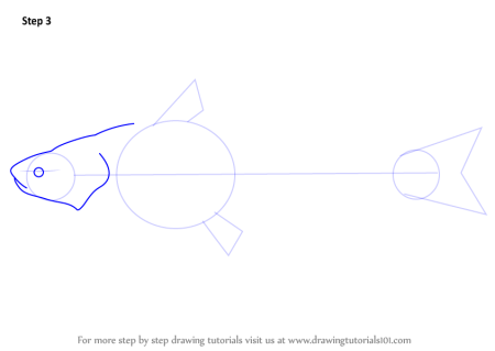 Схема рисования сома