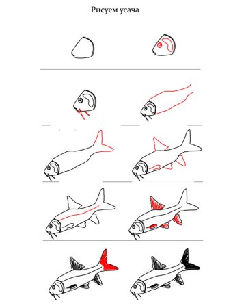 Нарисовать сома