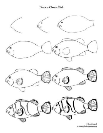 Сом раскраска