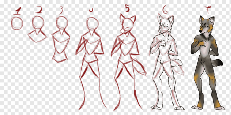 Анатомия фуррей