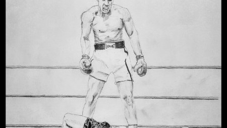 Поэтапное рисование боксера