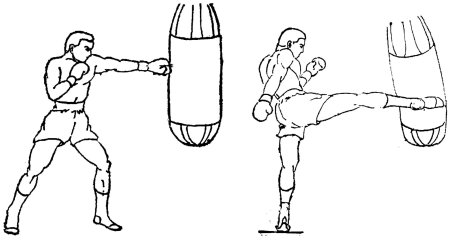 Боксер эскиз легкий