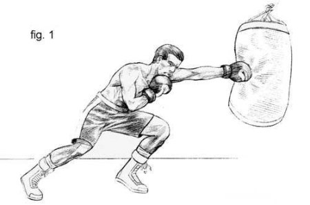 Рисунок боксера поэтапно