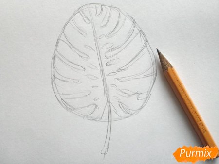 Листья пальмы рисунок карандашом