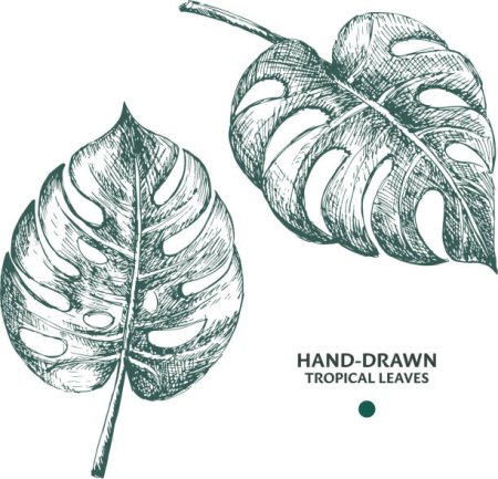 Рисунки крупнолистные листья