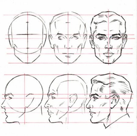 Схема головы человека в профиль и анфас