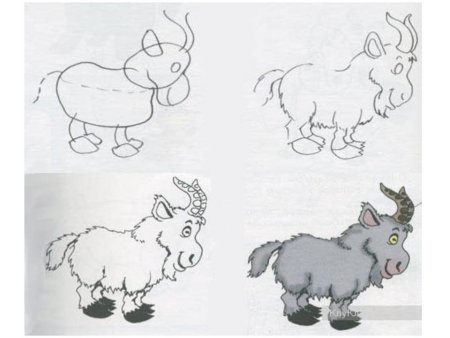 Рисунок козы карандашом для срисовки