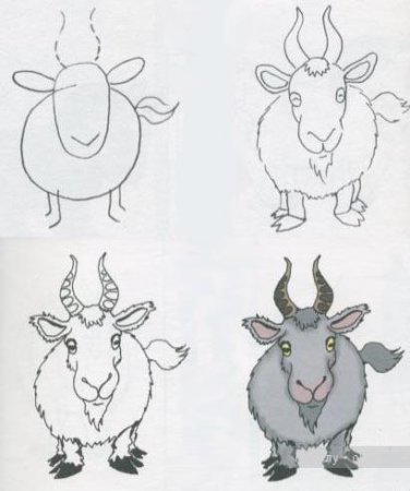 Как карандашом поэтапно нарисовать козла