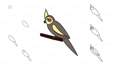 Рисунок свиристели карандашом
