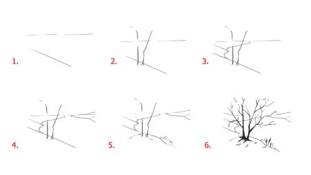 Линии в природе по рисованию