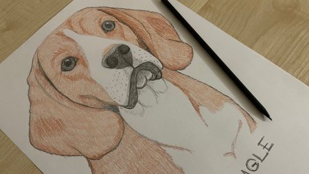 Как нарисовать собаку шпиона
