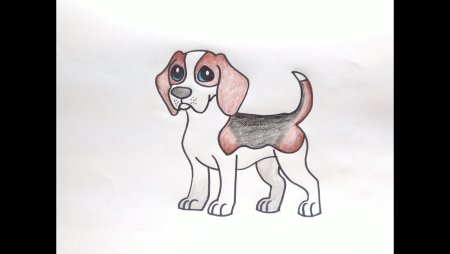 Рисунок собаки для срисовки для детей 5 лет