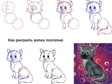 Пошаговое рисование волка