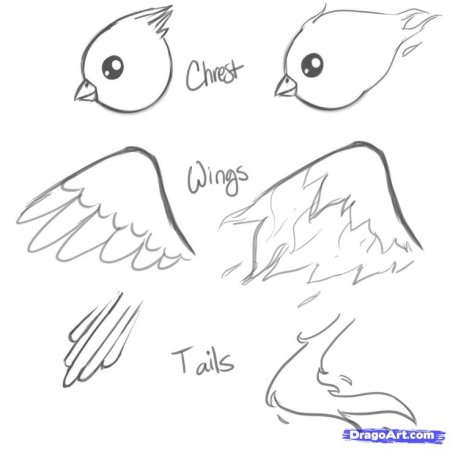 Феникс пошагово рисунок