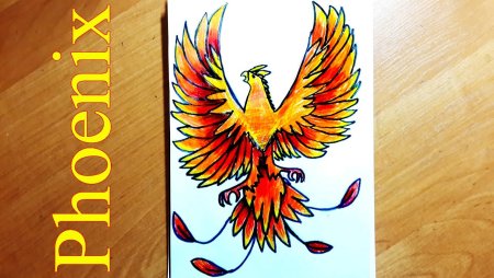 Самые лёгкие рисунки для срисовки Феникс