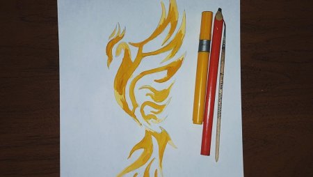 Феникс нарисовать карандашом поэтапно