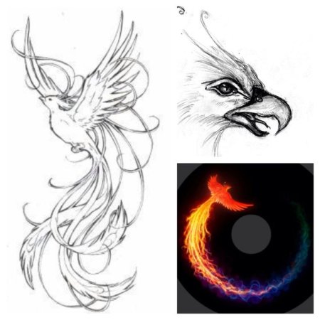 Птица Феникс карандашом