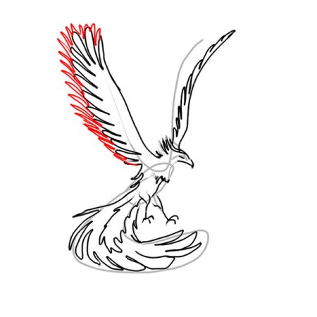 Феникс раскраска