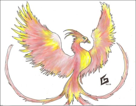 Рисунок птицы Феникс для срисовки