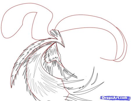 Лиса Феникс рисунок карандашом