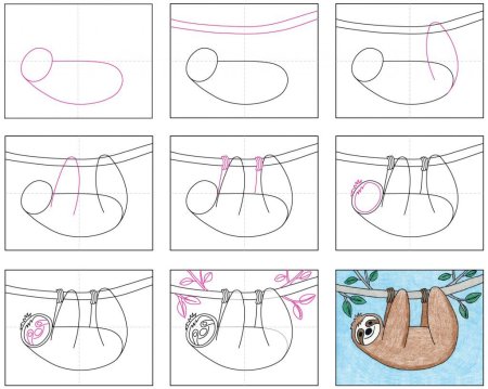 Как нарисовать ленивца поэтапно