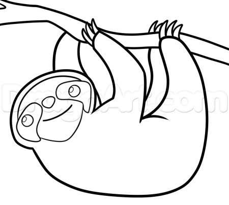 Ленивец контур