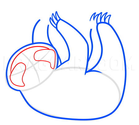 Поэтапное рисование ленивца для детей