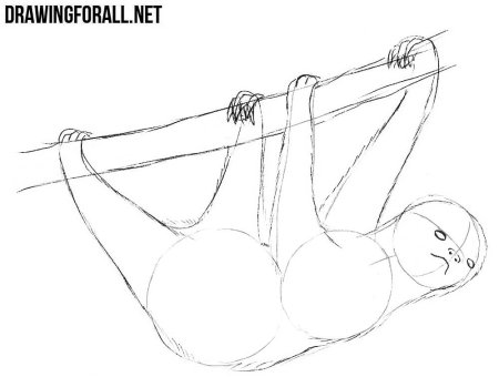 Ленивец рисунок поэтапно