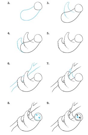 Поэтапное рисование Ленивец
