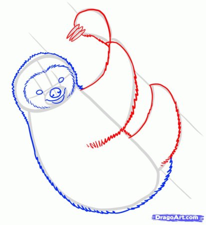 Ленивец рисунок карандашом для детей легко