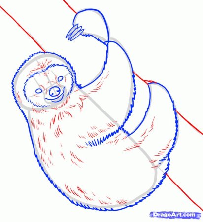 Нарисовать ленивца