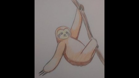 Ленивец карандашом легко