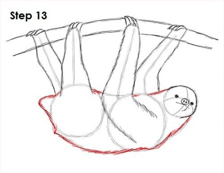 Поэтапное рисование Ленивец