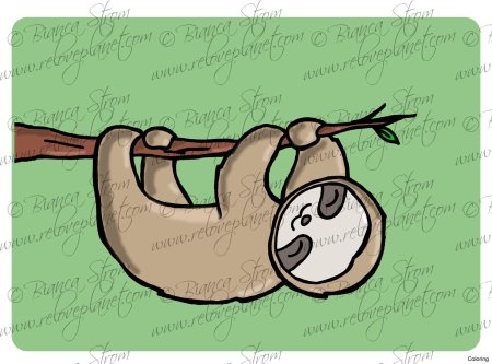 Нарисовать ленивца карандашом