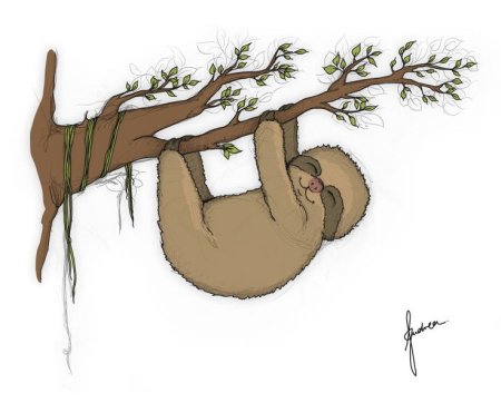 Ленивец рисунок карандашом