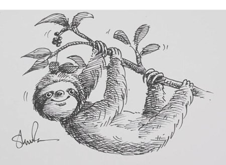 Ленивец раскраска