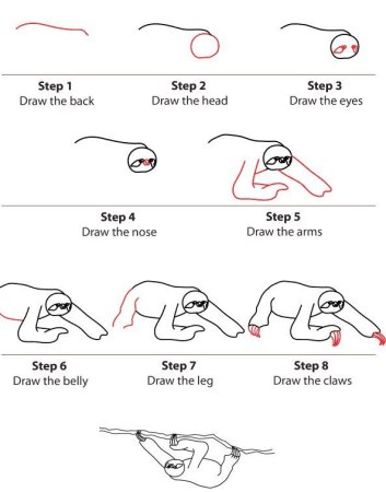 Ленивец векторный