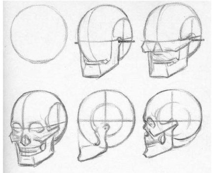Голова человека сбоку рисунок