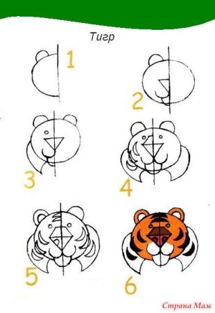 Рисунок тигра пошагово