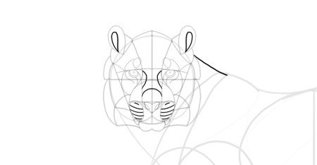 Нарисовать морду тигра поэтапно