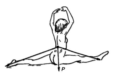 Упражнения на гибкость шпагат поперечный