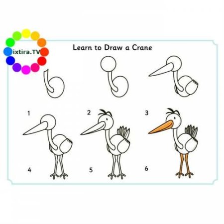 Поэтапное рисование аиста