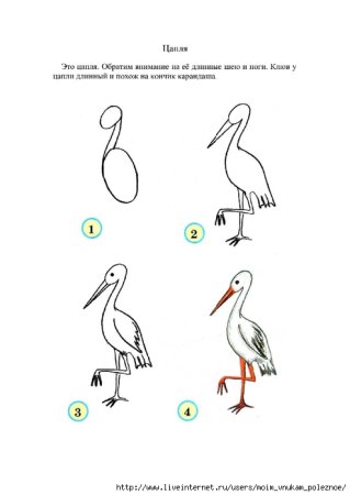 Как нарисовать цаплю карандашом поэтапно для детей