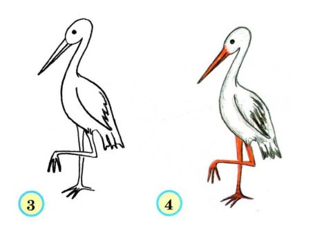 Схема рисования аиста