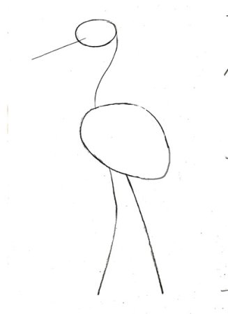 Поэтапное рисование аиста