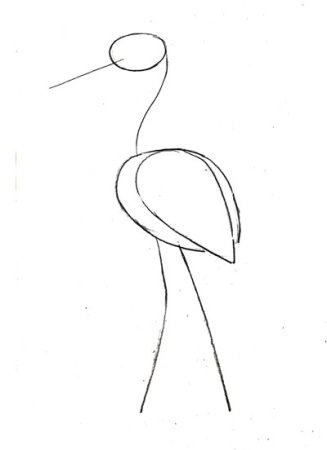 Поэтапное рисование аиста для детей