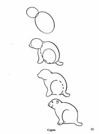 Сурок поэтапное рисование
