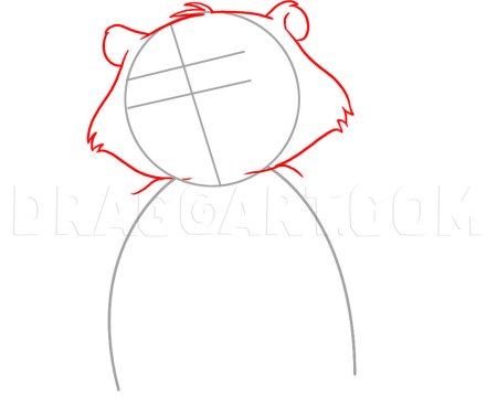 Сурок поэтапное рисование