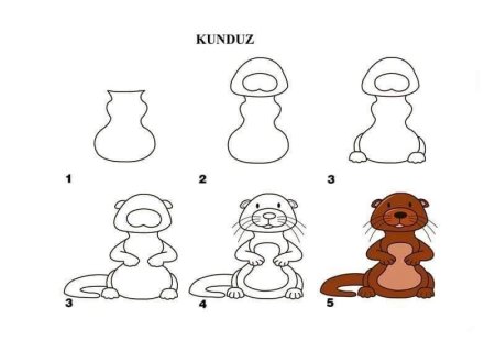 Схема рисования бобра